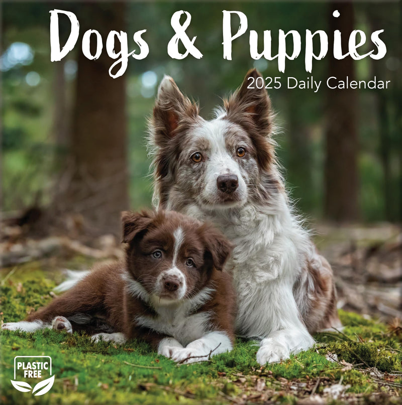 TURNER PHOTOGRAPHIC Dogs & Puppies Photo Box Calendars (25998053102)