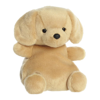 Aurora Toys And Games, Small, Brown