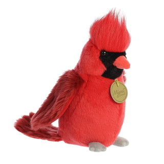 Aurora Toys And Games