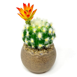 allgala Artificial Plant, 5.5 inches height x 3.75 inches diameter, Cactus Ball