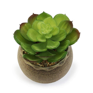 allgala Artificial Plant, 4.5 inches (H) x 3.75 inches (W) x 3.75 inches (D), Su