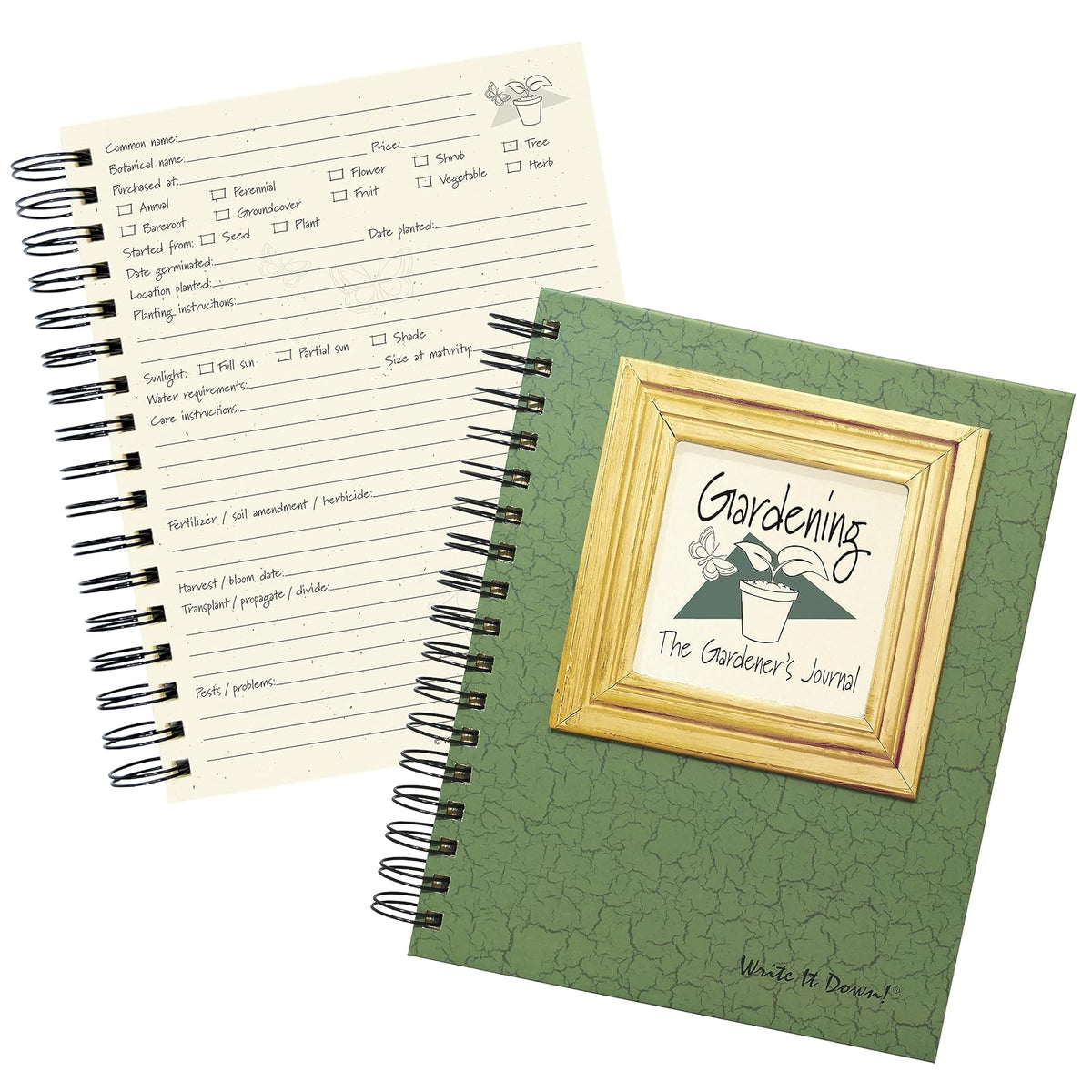 Write it Down Blank Book, Full-size, Green