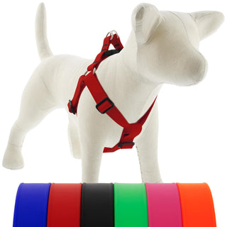 LupinePet Animal Harness, Medium: Girth Adjusts from 19 to 28 in, 1-in Wide, Bri