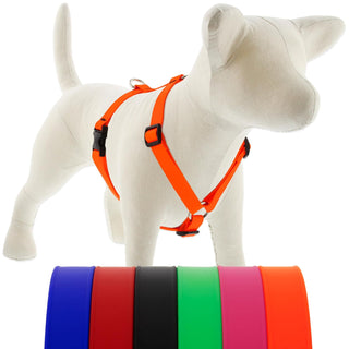 LupinePet Animal Harness, Small: Girth Adjusts from 12 to 20 in, 3/4-in Wide, Ne