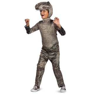 Disguise Costume Outfit