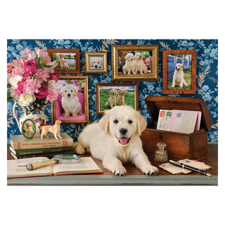 Anatolian Puzzles, 19x13 inches, Labrador