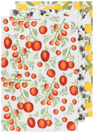 Now Designs Towel, Large, Mediterranean