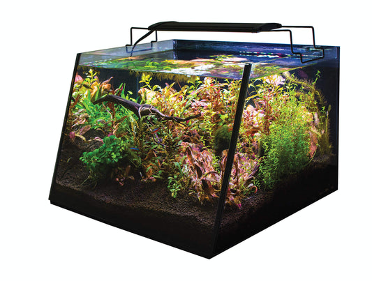 Lifegard Aquatics Full-View Aquarium, Kit with Built-in Filter – Kit Includes LED Light, Heater, Submersible Filter, Sponge, Bio Media, Telescopic Net and Glass Lid – Patented Angle Design - 5 Gallon