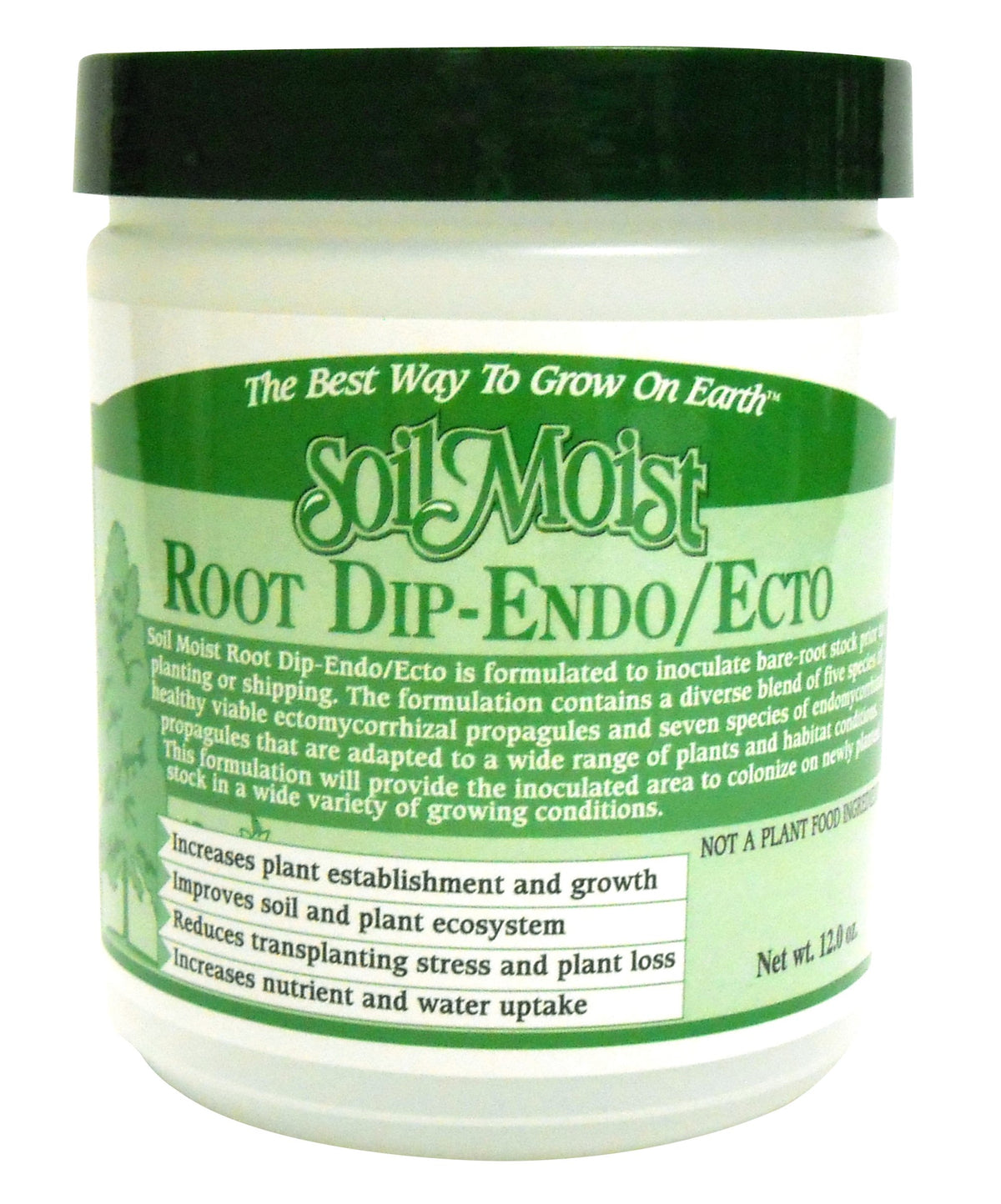 Soil Moist Seeds And Plants