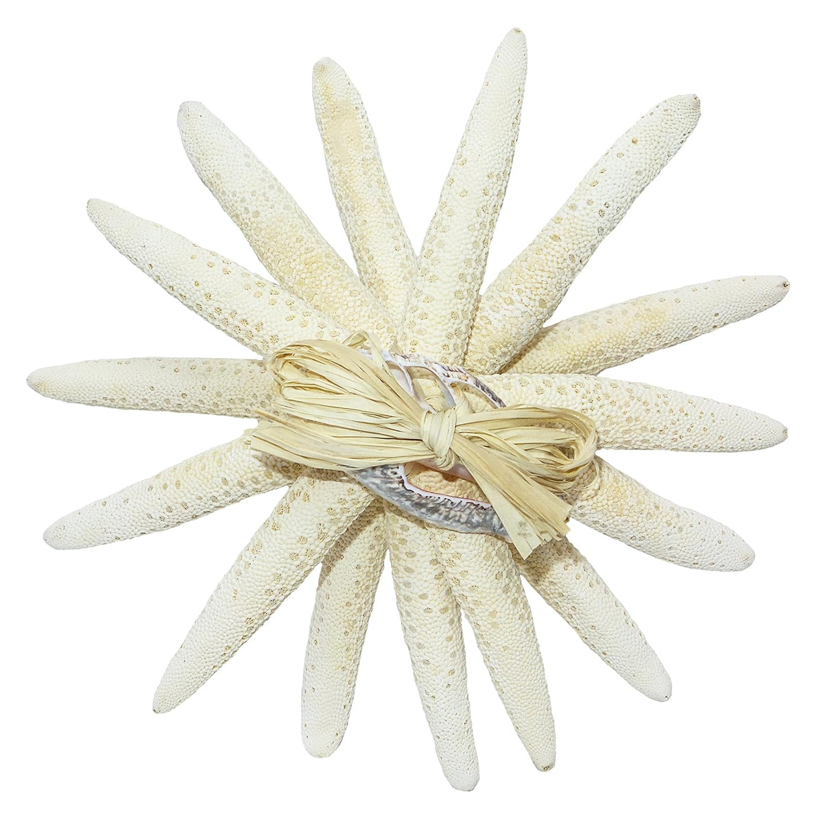 U.S. Shell Inc. Art And Craft Supply, White