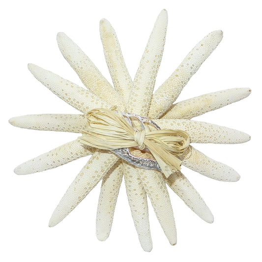 U.S. Shell Inc. Art And Craft Supply, White