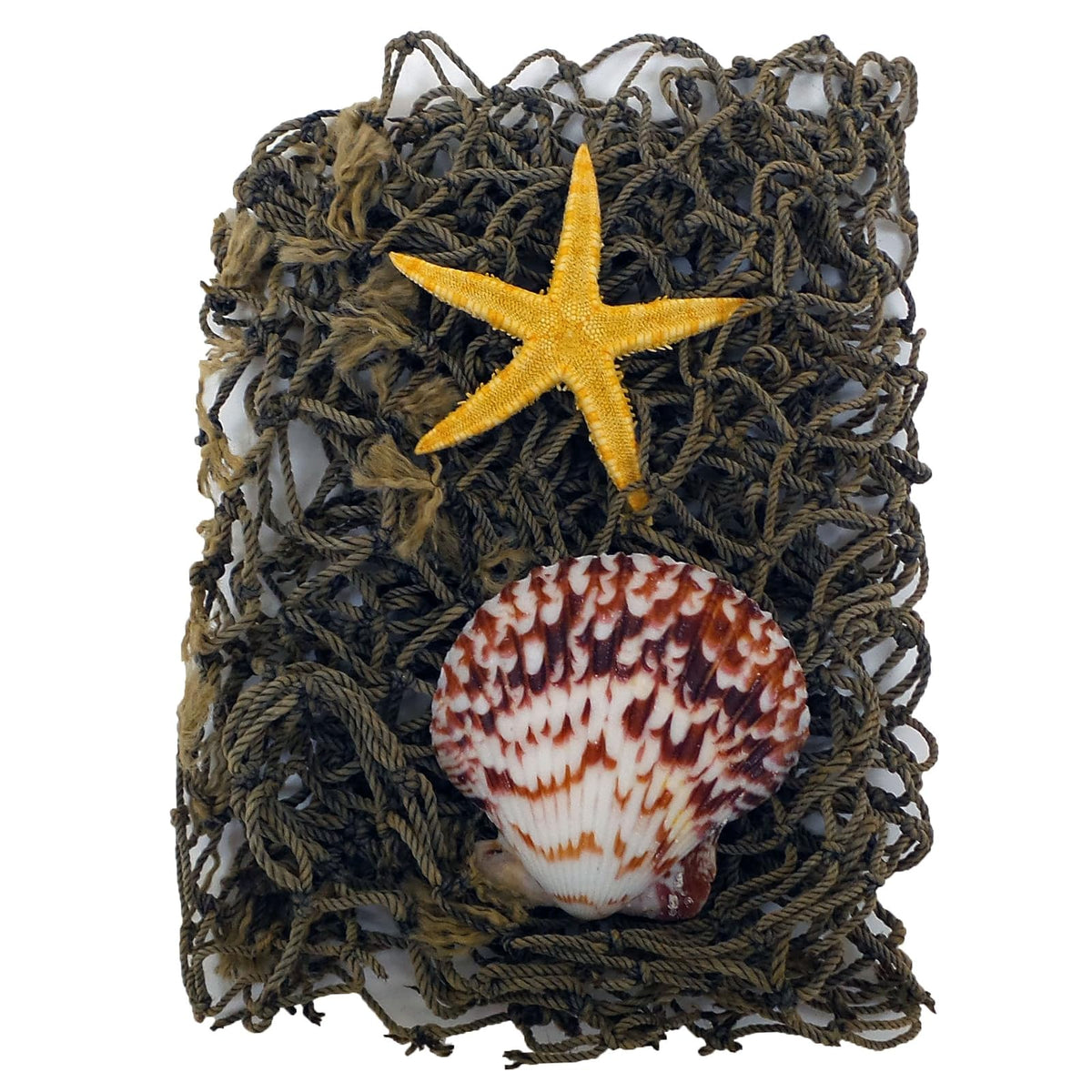 U.S. Shell Inc. Fishing Net
