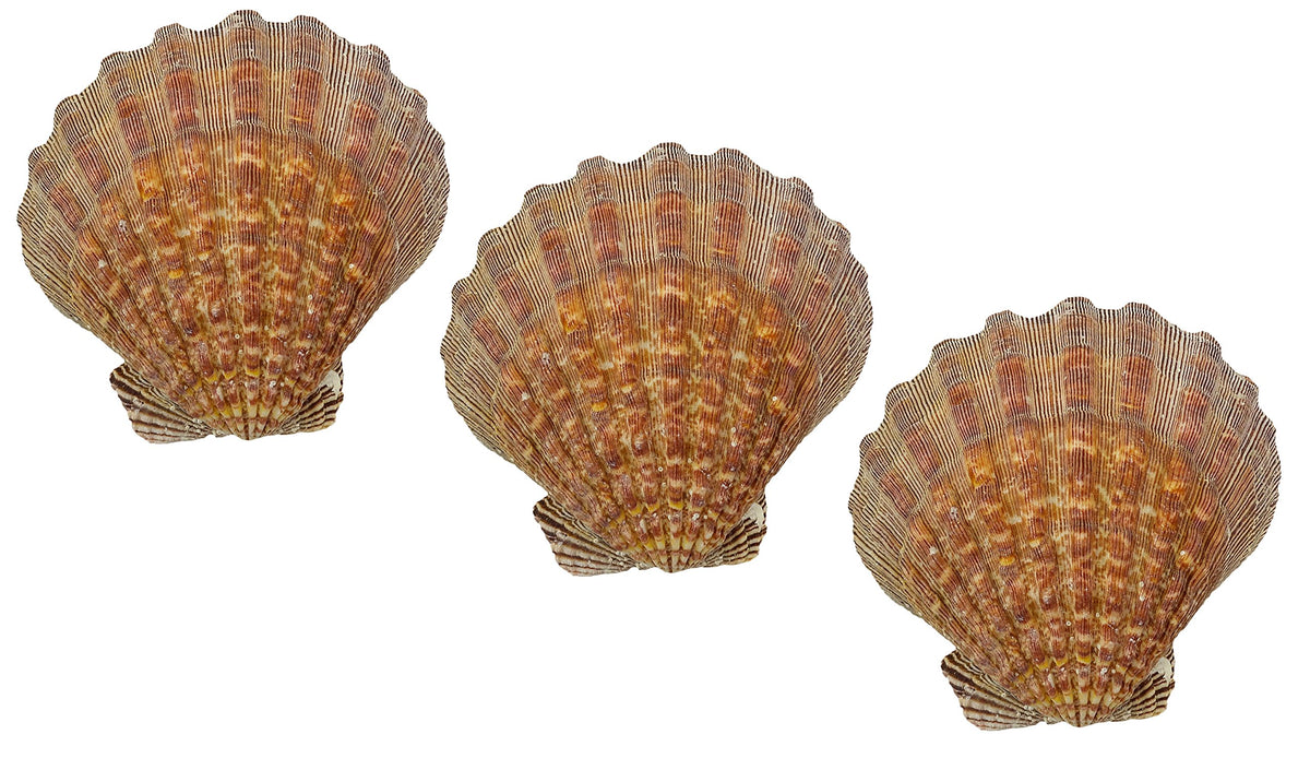 U.S. Shell Inc. Home