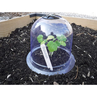 Gardinnovations Greenhouse, 7.87" Diameter x 6.69" Height, Clear