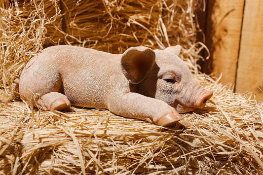 Hi Line Gift 87686-A Pig Sleeping Statue