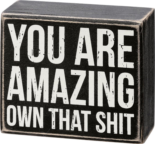 Primitives by Kathy 112115 You Are Amazing Own That Box Sign, Wood