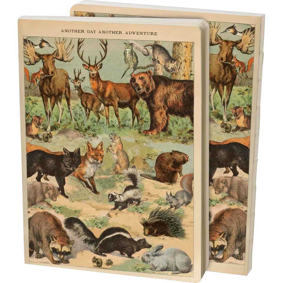 Primitives by Kathy Blank Book, Journal - Another Day, Vintage