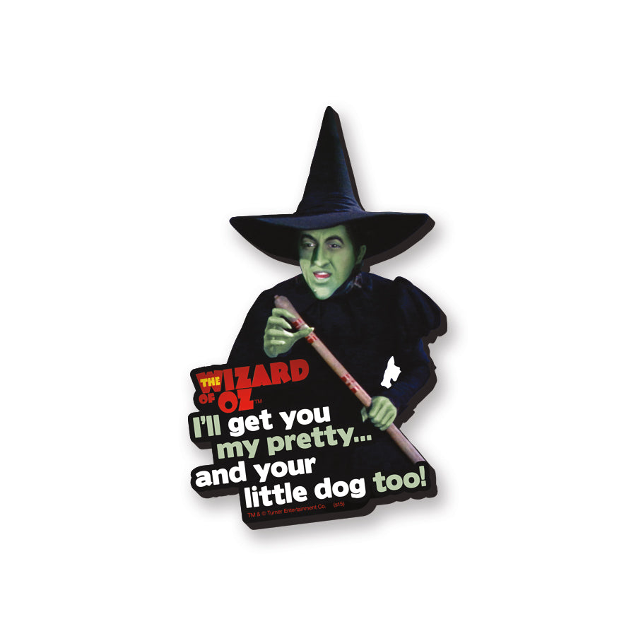 AQUARIUS Decorative Magnet, 3 x 4 inches, Green