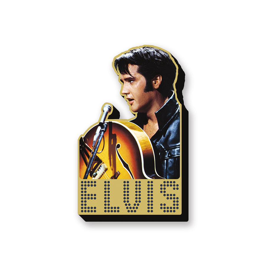 AQUARIUS Decorative Magnet, 68' Special, Yellow