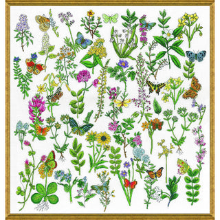 Design Works Crafts Art Craft Kit, Various, Various