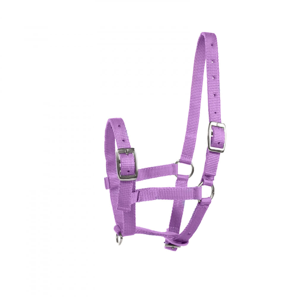 HORZE Sporting Goods, Foal, Purple