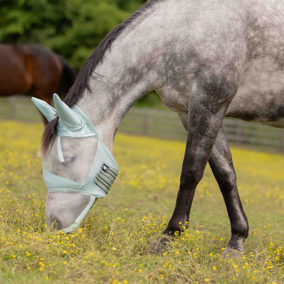 Equinavia Pet Pest Control, Horse, Misty Jade
