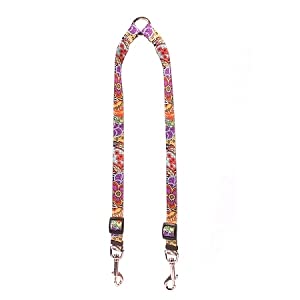 Yellow Dog Design Amazon Floral Coupler Dog Leash 3/4" Wide and 12 to 20" Long, Medium