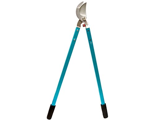 Zenport MV32 Professional Tree Lopper, Orchard and Landscape, 2-Inch Cut, Forged Head, 32-Inch Long