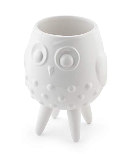 Napco 22142 Textured Ceramic Footed Planter/Cache Pot, White Owl