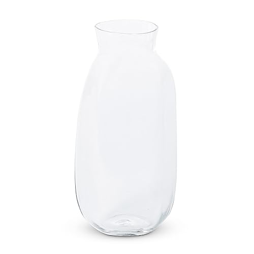 Park Hill Collection Clear Organic Garden Vase, Tall, 12-inch Height, Glass, Clear, for Decorative Use, Wall Decor, Home, Office, Kitchen, Living Room, Indoor