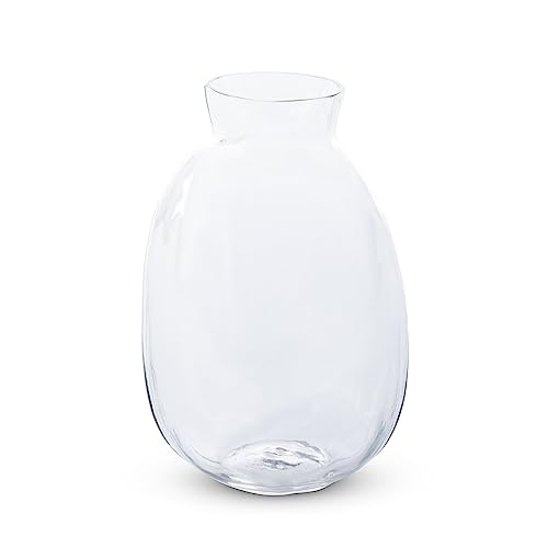 Park Hill Collection Clear Organic Garden Vase, Medium, 10-inch Height, Glass, Clear, for Decorative Use, Wall Decor, Home, Office, Kitchen, Living Room, Indoor