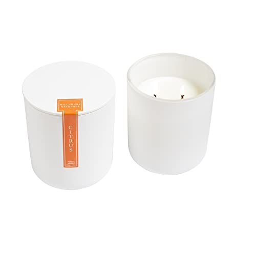 Field + Fleur Citrus 2 Wick Aromatherapy Candle in Modern White Glass with Lid, 10 oz, Home Fragrance Accessories