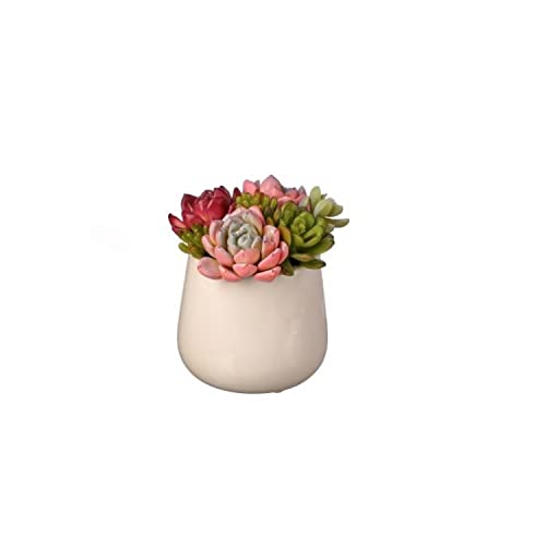 Regency International Artificial Plant Summer Succulents in Pot Artificial Plant, 4 Inches, Home D√©cor