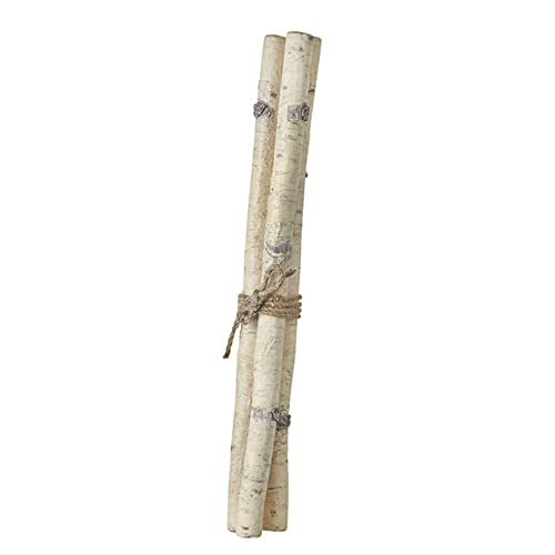 RAZ Birch Stick Bundle, 26- inch Diameter