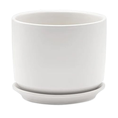 Napco Matte White Round Ceramic Pot for Indoor Plants Planter with Saucer, 5.25 x 5.25