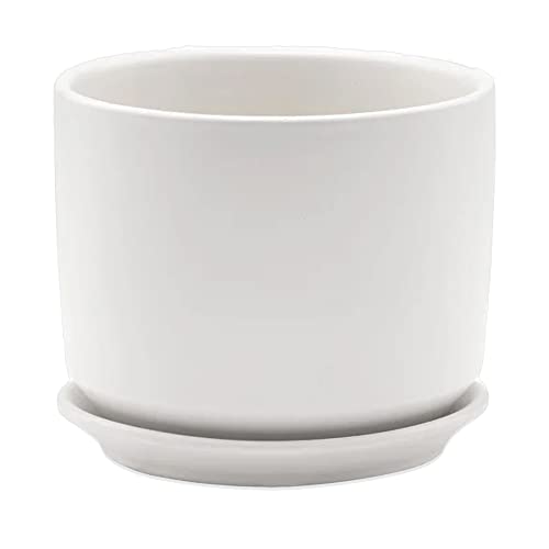 Napco Matte White Round Ceramic Pot for Indoor Plants Planter with Saucer, 6.25 x 6.25