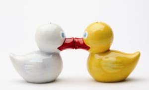 Pacific Trading Giftware Just Duckie Magnetic Salt & Pepper Shakers S/P