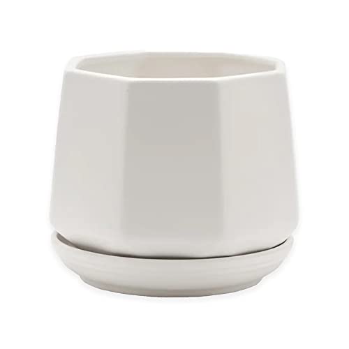 Napco Matte White Hexagonal Ceramic Pot for Indoor Plants Planter with Saucer, 4.75 x 4.75