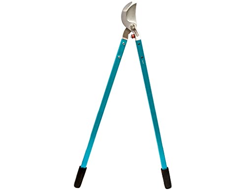 Zenport MV36 Professional Tree Lopper, Orchard and Landscape, 3-Inch Cut, Forged Head, 36-Inch Long