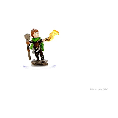 WizKids Store NECA Pathfinder Battles Premium Painted Figure: W3 Male Gnome Druid
