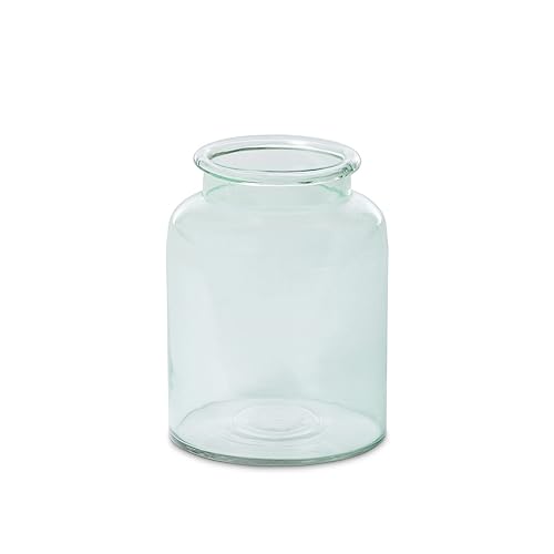 Park Hill Collection Cut Flower Display Vase, Medium, 9.5-inch Height, Glass, Clear, for Decorative Use, Wall Decor, Home, Office, Kitchen, Living Room, Indoor
