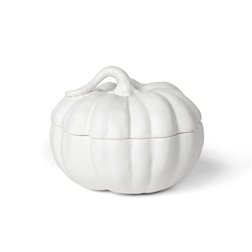 Park Hill Collection Matte White Lidded Ceramic Pumpkin Bowl Medium