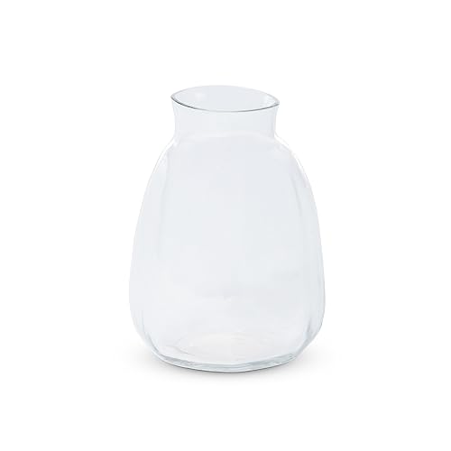 Park Hill Collection Clear Organic Garden Vase, Short, 6.75-inch Height, Glass, Clear, for Decorative Use, Wall Decor, Home, Office, Kitchen, Living Room, Indoor