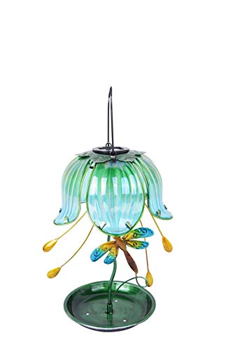 Continental Art Center CAC3608911B Glass and Metal Solar Lighted Hanging Bird Feeder, Dragonfly, Green