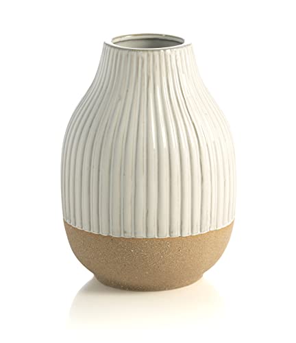 Shiraleah White Decorative Loma Vase with Terrecotta Base
