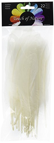 Midwest Design Touch of Nature 22-Piece Goose Wing Rounds for Arts and Crafts, 8-Inch, White