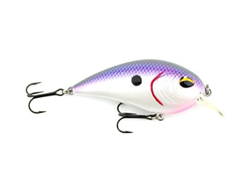 Jenko Fishing CDSPR CD¬¨‚â§ - 65mm Square Bill Crank Bait Purple Rain 5/8 oz