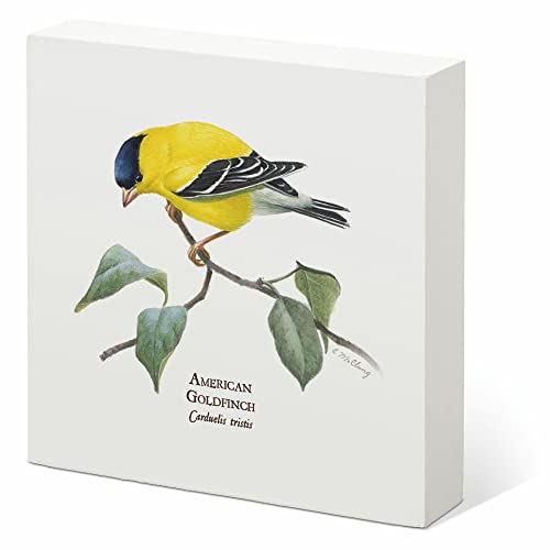 American Goldfinch 6" x 6" Box Art Sign