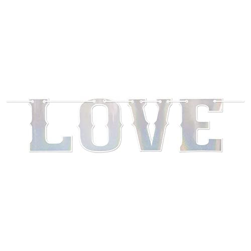 Beistle Lover Letter Banner, 14.25" x 6', Silver/White