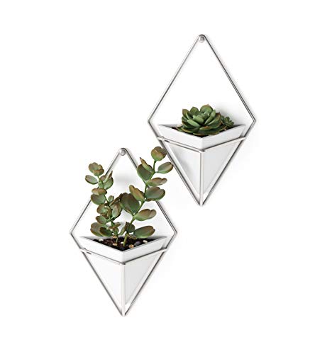 Umbra Trigg Hanging Planter Wall Decor Set, for Displaying Small Plants, Pens and Pencils, Makeup Accessories, White/Nickel